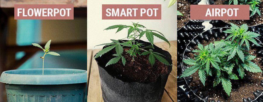 different-types-pot-containers-for-cannabis-growing.jpg