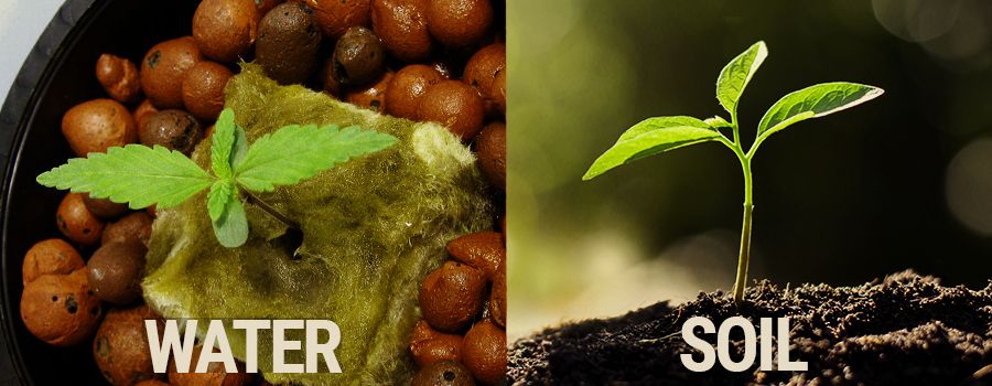 hydro-vs-soil-cannabis-grow-which-is-better.jpg