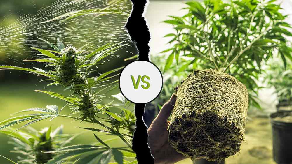 indoor-vs-outdoor-cannabis-growing.jpg