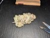 IMG_20200210_144155.jpg