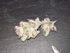 IMG_20200327_140212.jpg