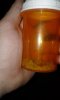 20180108_030832.jpg