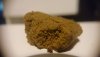 DSC_2043.JPG