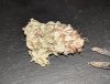 IMG_20191214_115117.jpg