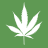 Ginger420er