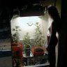 Beginners Indoor Grow Guide