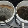 Compost Tea