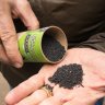 What Is Biochar and How Can It Improve Your Cannabis Garden?