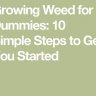 Growing Weed for Dummies: 10 Simple Steps to Get You Started
