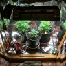 How to Build a Stealth Grow Cabinet