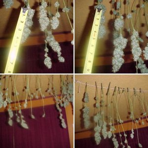 new harvest 11/19/2020 Afghani on left White Widow center UK Cheese Left