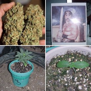 Placing my achievements in life