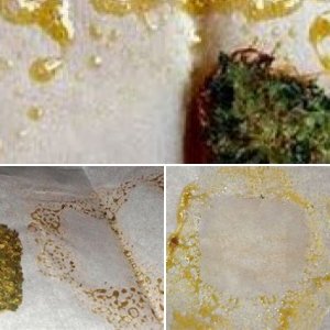 rosin try  tried press again