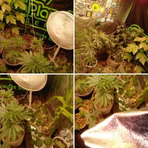 Start of the new year