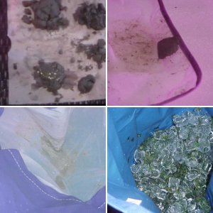 some of my Garden and Hash making