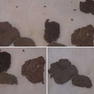 bubble Hash