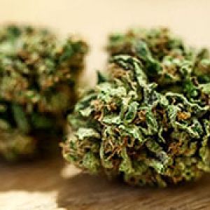 tasmaniamedicalcannabis