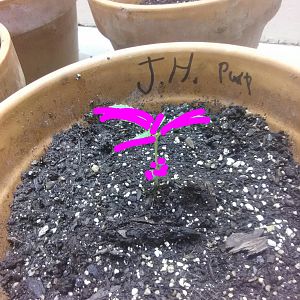 Zcamera-20170903_105310