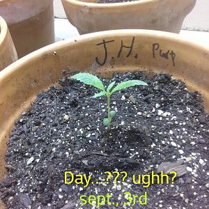 Zcamera-20170903_105840