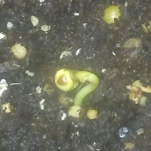 Zcamera-20170908_222751