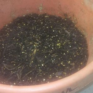 Zcamera-20170908_222857