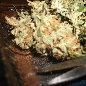 sunday smoke - cookies