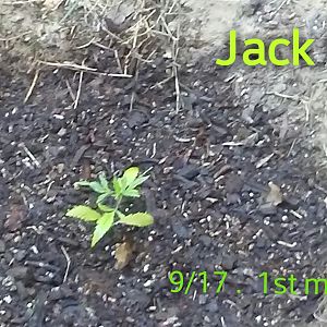 Zcamera-20170917_104240