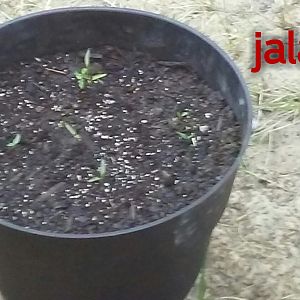 Zcamera-20170917_104340