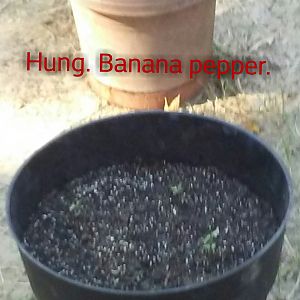 Zcamera-20170917_104519