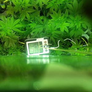 15056806327411254062921968790091