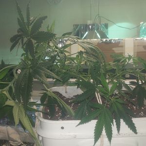 15069047578041784299082140866760