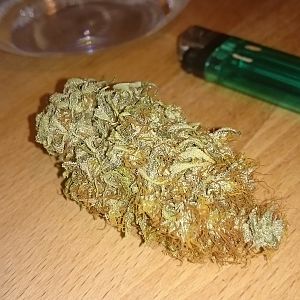 Passion #1 x FruitBowl