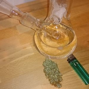 Passion #1 x FruitBowl