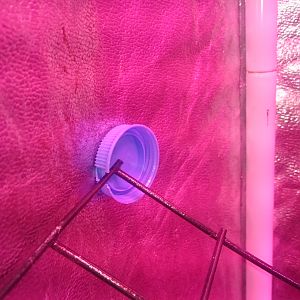 SunshineCornerProtector™️ :)