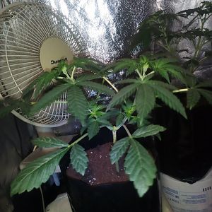 26853319_10213987874998604_1906248433_o