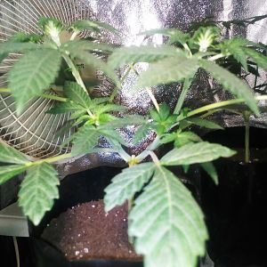 26853640_10213987877518667_422553485_o