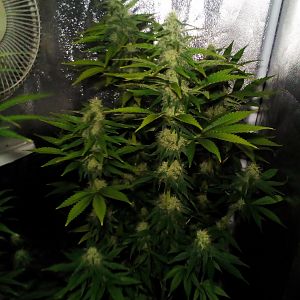 28504372_10214351345605142_1937759106_o