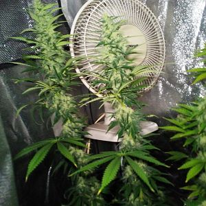 28580178_10214351345725145_1737643505_o