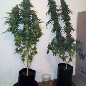 29634134_10214590105693995_1587908403_o