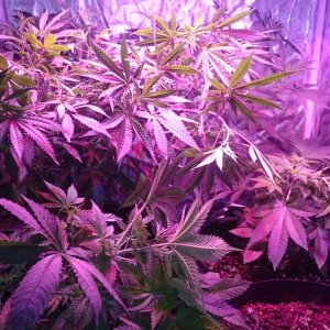 Group Shot after training