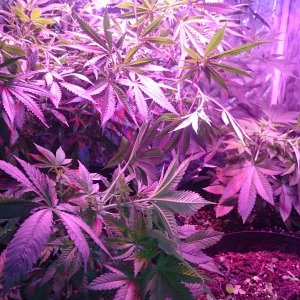 Group Shot after training