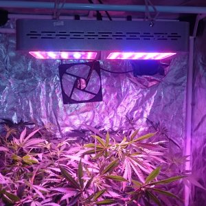 Down to one light unit