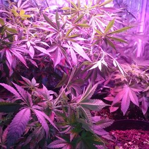 Group Shot after training