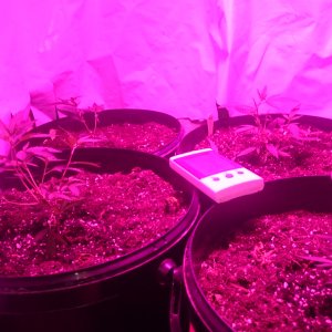 Group shot in make shift cab