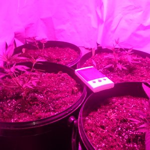 Group shot in make shift cab