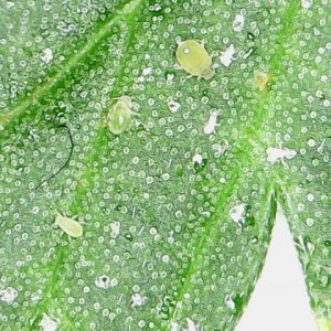 Fri Jan 25 21-41-40.jpg