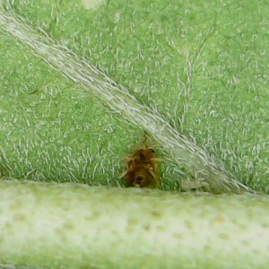 Fri Feb 08 09-35-50.jpg