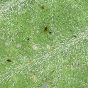 Mon Aug 26 08-52-28.jpg