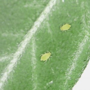 Sun Jan 13 09-39-47.jpg