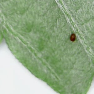 Sun Jul 07 12-10-24.jpg